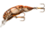 Rebel Lures Rebel Crawfish 1 11/16in, 3/16oz , 4- 6 Cranking Depth, Ditch/Brown, F6875