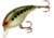 Rebel Lures Rebel Super Teeny Wee-R Crankbait, 1 1/2in, 1/8 oz, Floating, Bass Floating, F91478V