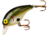 Rebel Lures Rebel Super Teeny Wee-R Crankbait, 1 1/2in, 1/8 oz, Floating, Tennessee Shad, F9148V
