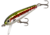 Rebel Lures Rebel Tracdown Minnow 49, Slick Rainbow Trout, 1-5/8in 3/32 oz, TD49493