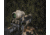 Does the Magnifier Go Behind or in Front of the Red Dot Sight?