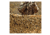 Red Rock Outdoor Gear Hunting Series Camouflage Netting