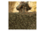 Red Rock Outdoor Gear Hunting Series Camouflage Netting