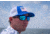 Redfin Polarized Sanibel Sunglasses, Black Tortoise Frame, Coastal Blue Polarized Lens, One Size, 1407