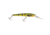 Reef Runner Jr Reef Stalker, Green Perch, 900JR-09