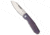 Remette RT-Squirrel Slip Joint Folding Knife, 2.83in, Bohler M390 Stainless Steel, Sheepsfoot Blade, Titanium, Purple Handle, Purple/Gray, 7.09 inch, BHQ-217188