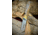 Remington King of Mountain 2026 Bullet 3.5in Fixed Blade Knife