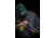 Remington Oil Squeeze Aerosol