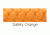 Remington Sporting Dog Braided Rope Leash, Orange, Slip, 6 ft. R0216-SOR06