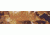 Remington Sporting Dog Deluxe Nylon Leash, Camo Fallen Leaves, 1in. Traffic Lead, 18 in. R2918-FLL18