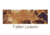 Remington Sporting Dog Deluxe Nylon Leash, Camo Fallen Leaves, 4 ft. R0904-FLL04