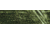Remington Sporting Dog Deluxe Nylon Leash, Camo Grassy Field, 1 in. Double Training Lead, 6 ft. R2906-GFL06