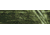 Remington Sporting Dog Deluxe Nylon Leash, Camo Grassy Field , 1in. Traffic Lead, 18 in. R2918-GFL18