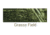 Remington Sporting Dog Deluxe Nylon Leash, Camo Grassy Field, 4 ft. R0904-GFL04