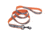 Remington Sporting Dog Deluxe Nylon Leash, Orange with Grass, Reflective, 6 ft. R6966-G-OGS06