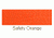 Remington Sporting Dog Deluxe Nylon Leash, Safety Orange, 4 ft. R0904-SOR04
