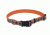 Remington Sporting Dog Reflective Adjustable Collar, Orange with Shells, 1in.x20in. R6941-G-OSH26