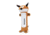 Remington Sporting Dog Water Bottle Toy, FOX R8402-G-FOXDOG