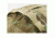 Revision Cobra Precision Fit Helmet Cover - Enhanced, Multi-Cam, Small 4-0593-9052