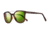 Revo Clayton Progressive Prescription Sunglasses, Matte Tortoise Frame, Polarized, RE 1040 12 GNPR