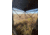 Rhino Blinds Ground Blind R180 W/see Through Mesh 75x75x66 Rtedg, R180RTE
