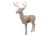 Rinehart Big Jim Insert Target, Brown, 20221