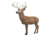 Rinehart Big Ten 2.0 Deer Target, 1006939