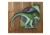 Rinehart Game Room Dartboard, Raptor, 1006254