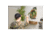 Rinehart Game Room Dartboard, Raptor, 1006254