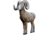 Rinehart 1/2 Scale Signature Bighorn Sheep Insert, Brown/Tan, 37311