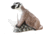 Rinehart Signature Badger Target, 1006935