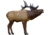 Rinehart Targets Fx Woodland Foam 1/3 Scale Woodland Elk