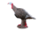 Rinehart Tom Turkey Target, Brown 41511