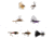RIO Products Basic Trout Fly Assortment, 6-F32368