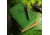 Rite in the Rain BINDER KIT - GREEN, Green, 5 5/8 x 7 1/2 9200-KIT