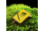 Rite in the Rain FISHING JOURNAL KIT, Yellow, 4 x 6 1731-KIT
