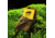 Rite in the Rain FISHING JOURNAL KIT, Yellow, 4 x 6 1731-KIT