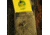 Rite in the Rain FLY FISHING KIT, Yellow, 4 x 6 1732-KIT