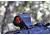 Riton RT-R Mod 3 Riton Micro Dot Sights, Black, 19962524660