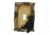 River's Edge Bear Single Switch Plate Cover 617