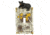 River's Edge Birch Bear Single Switch Cover 611
