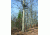Rivers Edge Treestands 1-Man XL Ladder Stand, Black RE648