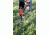 Rivers Edge Treestands 10ft Tower Outpost with Blind, Black RE703