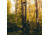 Rivers Edge Treestands Big Foot 20 ft Connected Stick, Black, Medium, RE730