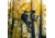 Rivers Edge Treestands Big Foot Traveler Hang-on Stand, Black, RE553