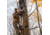 Rivers Edge Treestands Climbing Rope, Black, 8 Foot, RE793