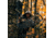 Rivers Edge Treestands 15ft Climbing Stick, Black RE724