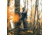 Rivers Edge Treestands 15ft Climbing Stick, Black RE724