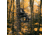 Rivers Edge Treestands 15ft Climbing Stick, Black RE724