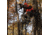 Rivers Edge Treestands Relax Wide - LS Treestand, Black, 16ft 9in, RE672